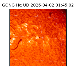 gong - 2026-04-02T01:45:02