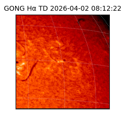 gong - 2026-04-02T08:12:22
