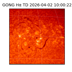 gong - 2026-04-02T10:00:22