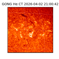 gong - 2026-04-02T21:00:42