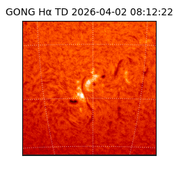 gong - 2026-04-02T08:12:22