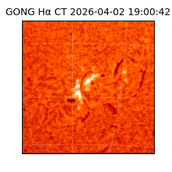 gong - 2026-04-02T19:00:42