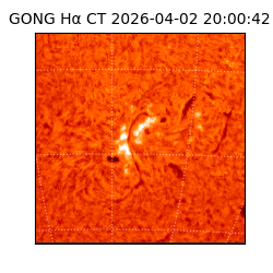 gong - 2026-04-02T20:00:42