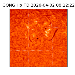 gong - 2026-04-02T08:12:22