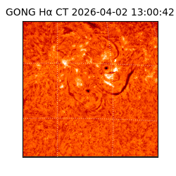 gong - 2026-04-02T13:00:42