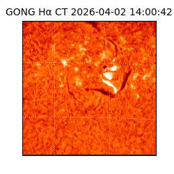 gong - 2026-04-02T14:00:42