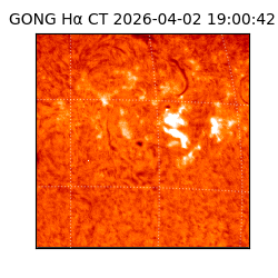 gong - 2026-04-02T19:00:42