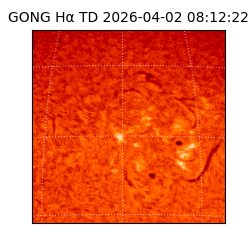 gong - 2026-04-02T08:12:22