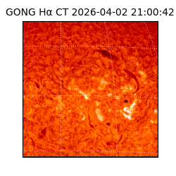 gong - 2026-04-02T21:00:42