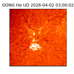 gong - 2026-04-02T03:00:02