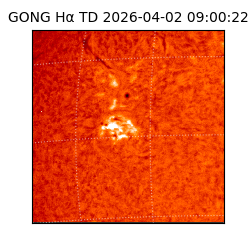 gong - 2026-04-02T09:00:22