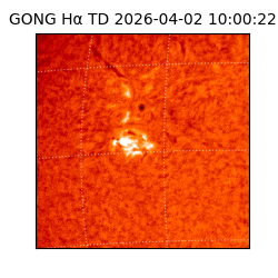 gong - 2026-04-02T10:00:22