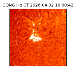 gong - 2026-04-02T16:00:42