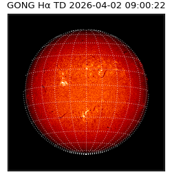 gong - 2026-04-02T09:00:22