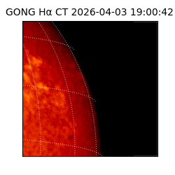 gong - 2026-04-03T19:00:42