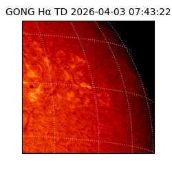 gong - 2026-04-03T07:43:22