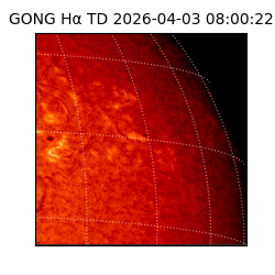 gong - 2026-04-03T08:00:22