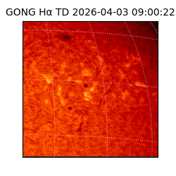 gong - 2026-04-03T09:00:22