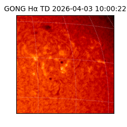 gong - 2026-04-03T10:00:22