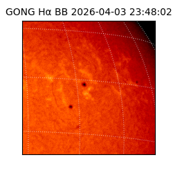 gong - 2026-04-03T23:48:02