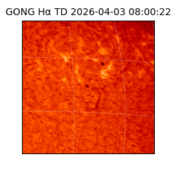 gong - 2026-04-03T08:00:22