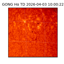 gong - 2026-04-03T10:00:22