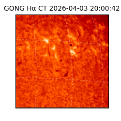 gong - 2026-04-03T20:00:42