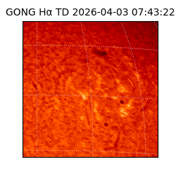 gong - 2026-04-03T07:43:22