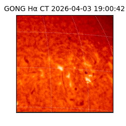 gong - 2026-04-03T19:00:42