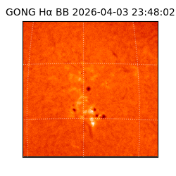 gong - 2026-04-03T23:48:02