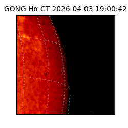 gong - 2026-04-03T19:00:42