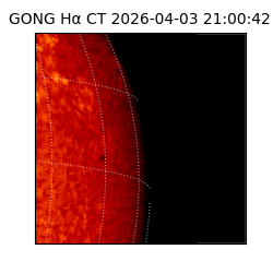 gong - 2026-04-03T21:00:42