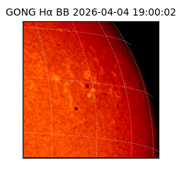 gong - 2026-04-04T19:00:02