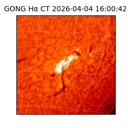 gong - 2026-04-04T16:00:42