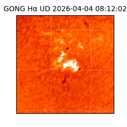 gong - 2026-04-04T08:12:02