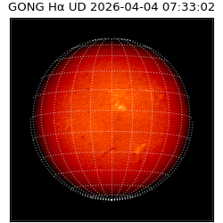 gong - 2026-04-04T07:33:02