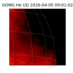 gong - 2026-04-05T09:01:02
