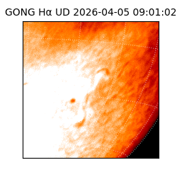 gong - 2026-04-05T09:01:02