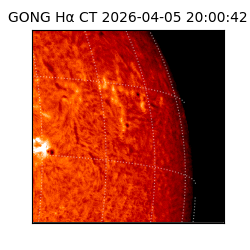 gong - 2026-04-05T20:00:42