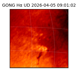 gong - 2026-04-05T09:01:02