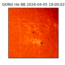 gong - 2026-04-05T19:00:02