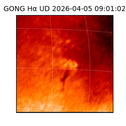 gong - 2026-04-05T09:01:02