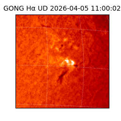 gong - 2026-04-05T11:00:02