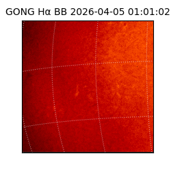 gong - 2026-04-05T01:01:02