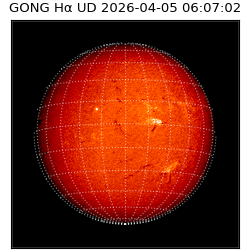 gong - 2026-04-05T06:07:02