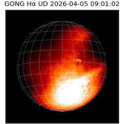 gong - 2026-04-05T09:01:02
