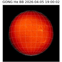 gong - 2026-04-05T19:00:02