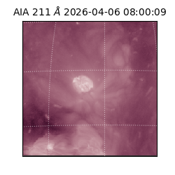 saia - 2026-04-06T08:00:09.623000