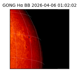 gong - 2026-04-06T01:02:02