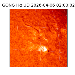 gong - 2026-04-06T02:00:02